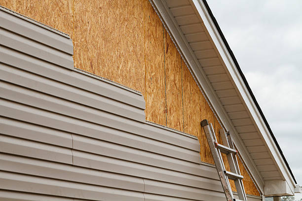 Professional Siding Inspection technician working in New London, OH
